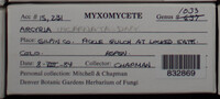 Image Associated With the Occurence